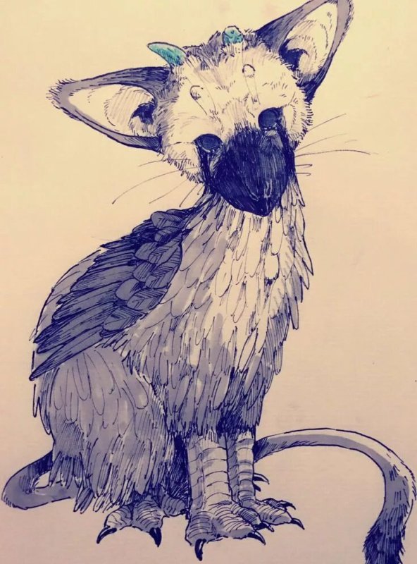The last Guardian
