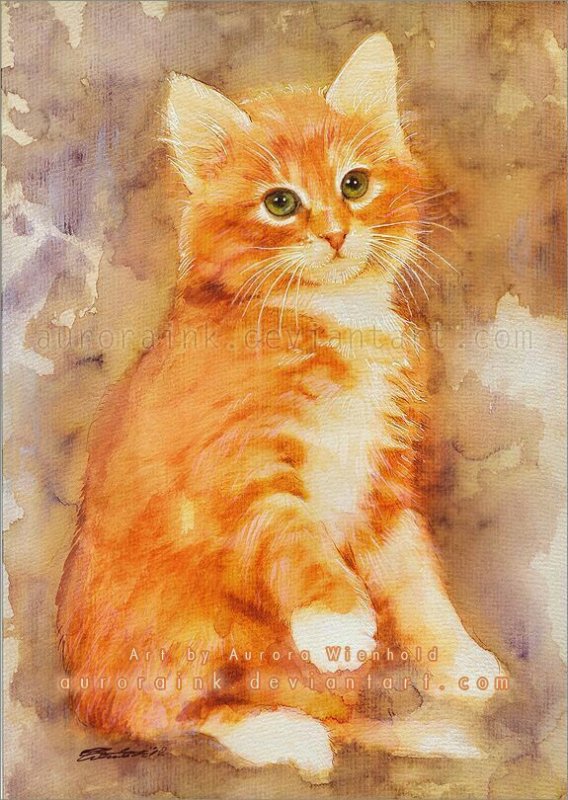 Рыжие коты