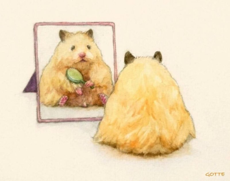 Хомяк рисунок