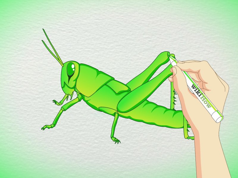 кузнечик рисунок для детей