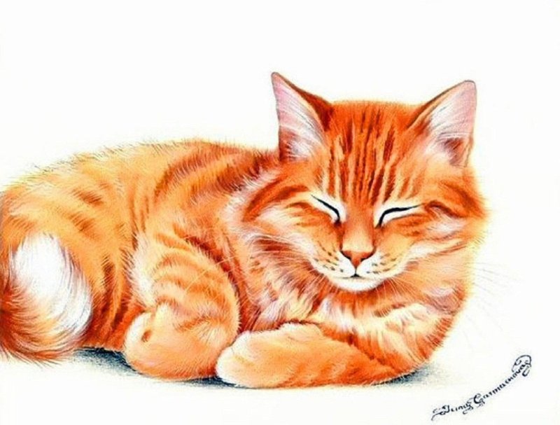 Кошка рисунок