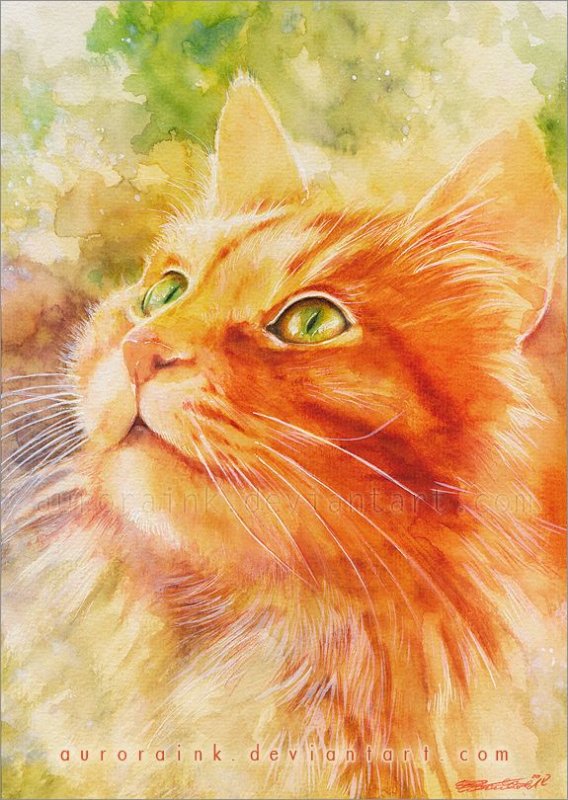 Рыжая кошка