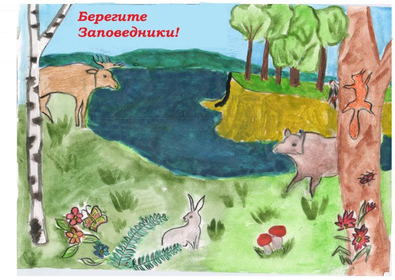 Рисунок на тему заповедные места