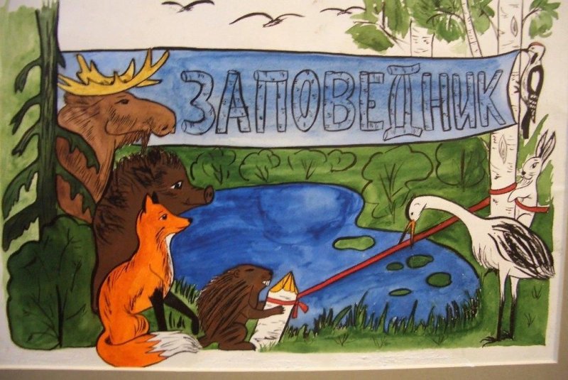 Мир заповедной природы рисунки