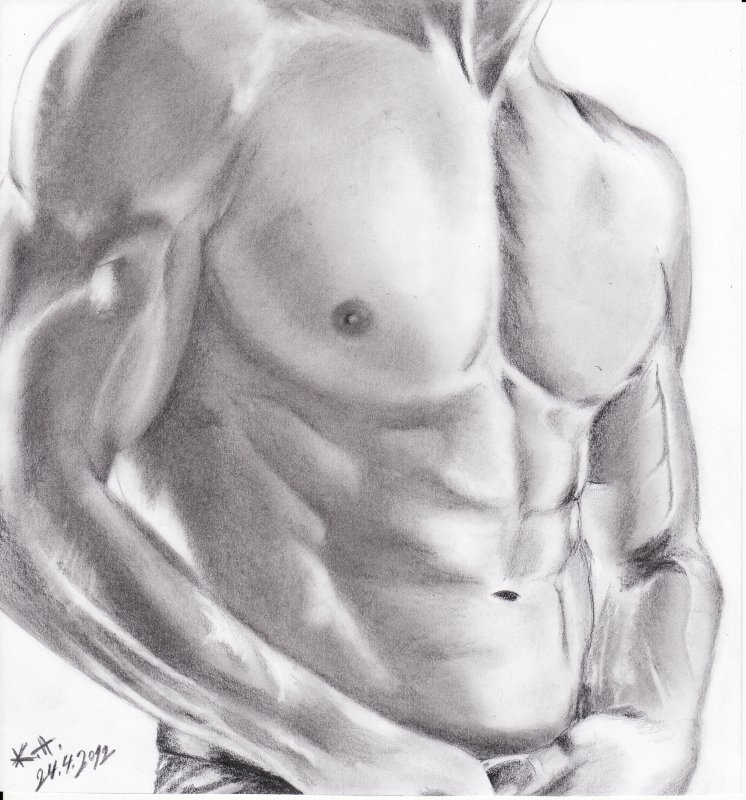 Пресс рисунок