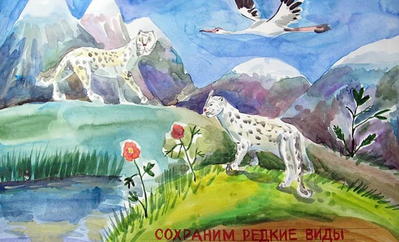 Мир заповедной природы рисунки