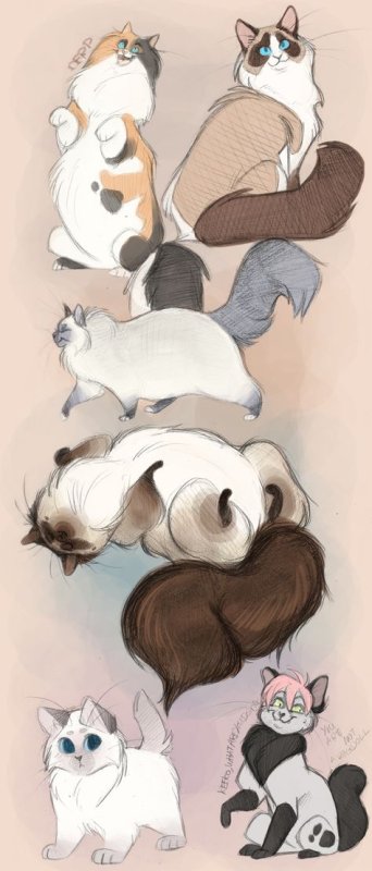 Котики в разных стилях