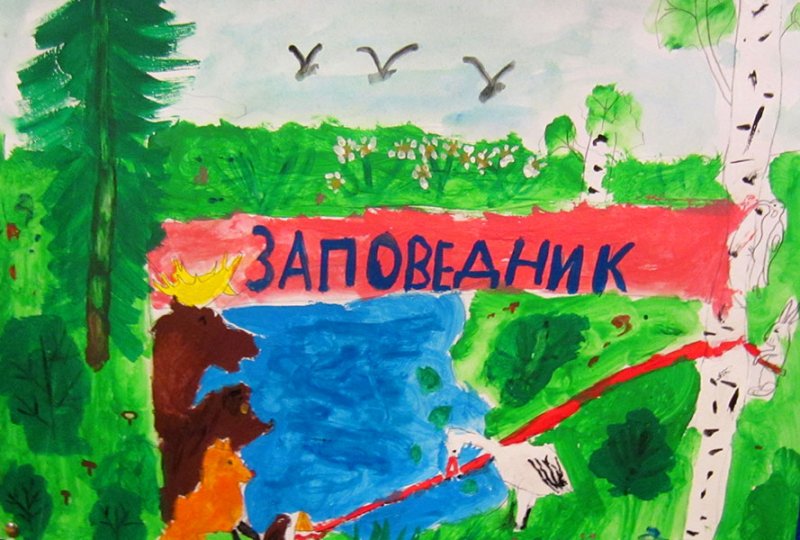 Заповедник рисунок