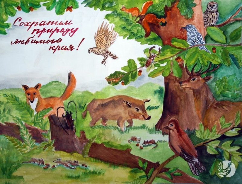 Рисунок на тему животный мир