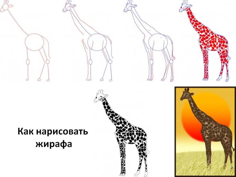 Рисунок жирафа
