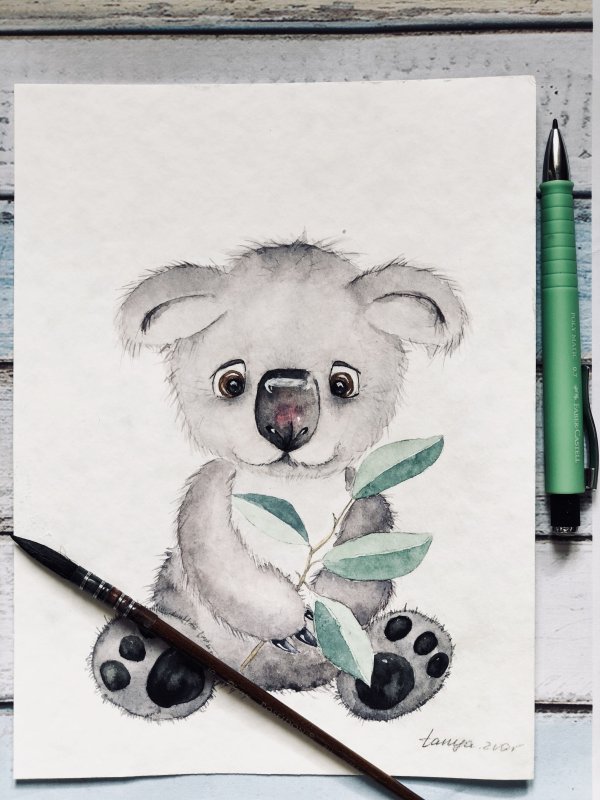 Милые коалы рисунки