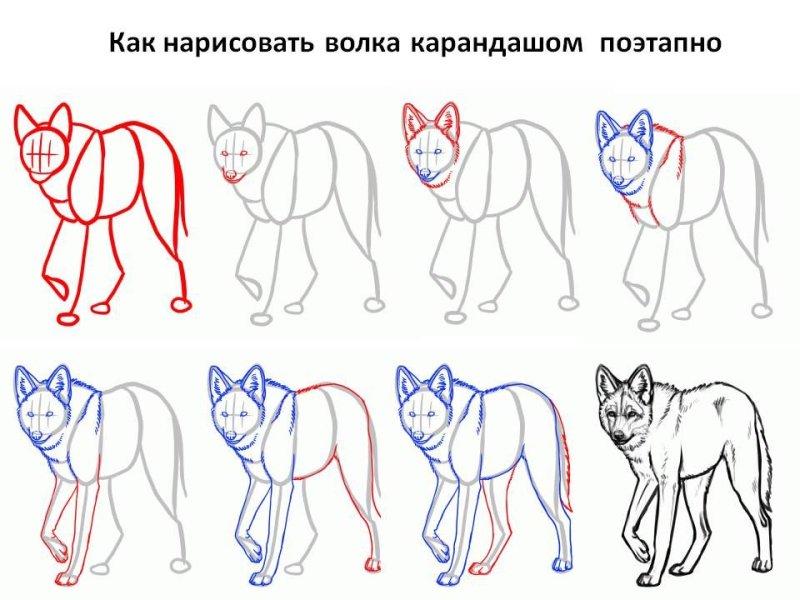 Поэтапное рисование карандашом