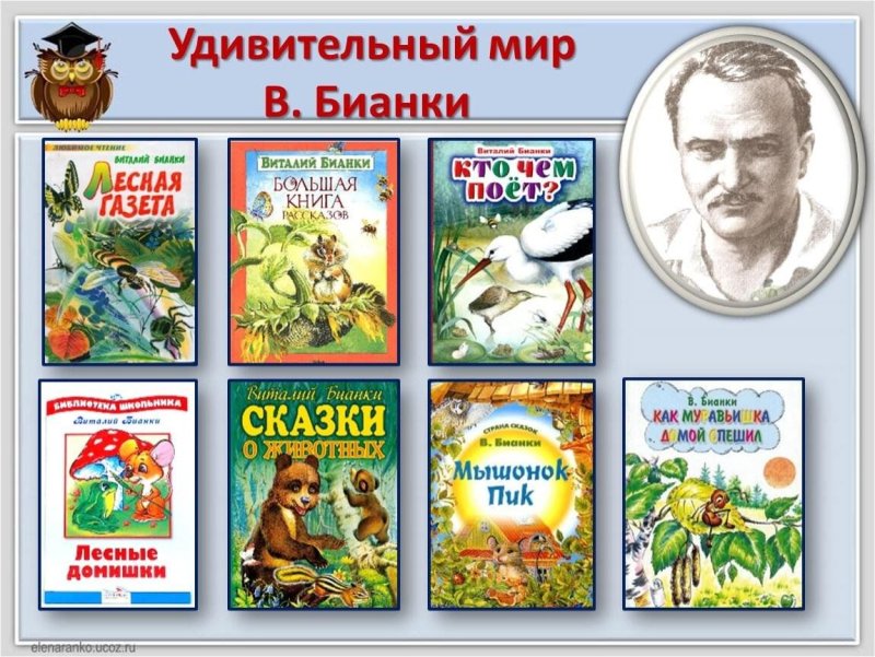 Писатель Бьянки для детей элюстрациирассказов