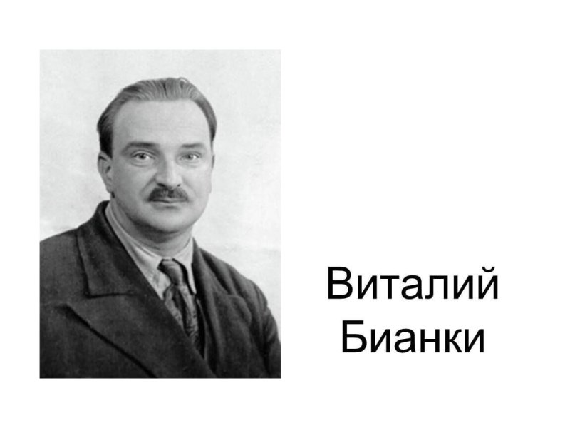 Портреты детских писателей Бианки