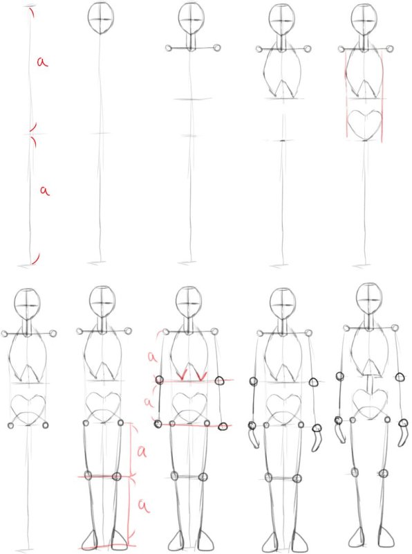 рисовать человека поэтапно карандашом для начинающих