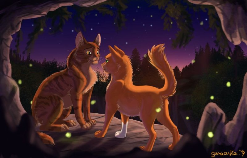 Коты Воители белка
