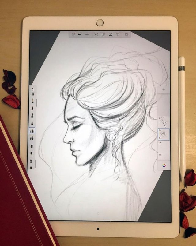 Рисунки на графическом планшете