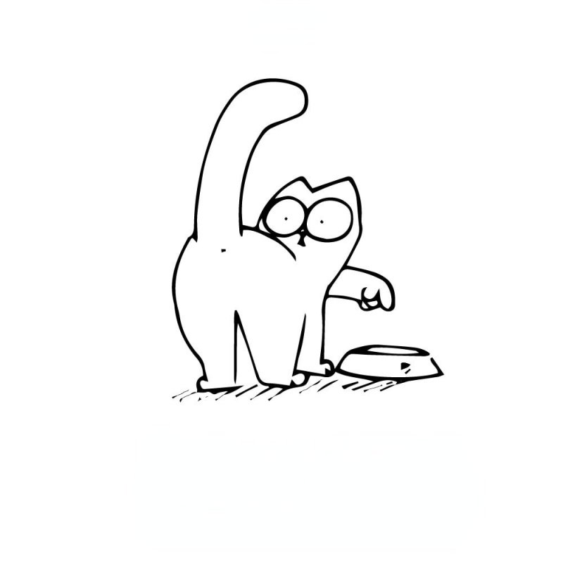 Легкие кота саймона