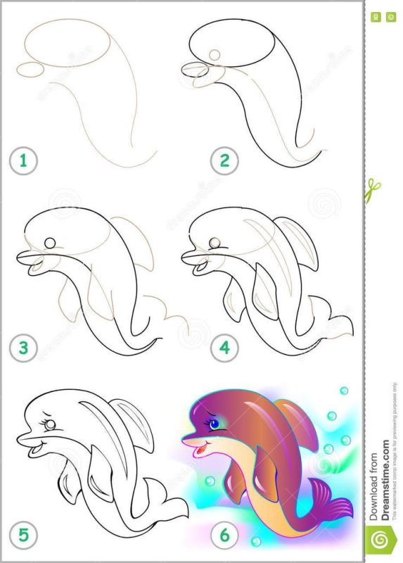Дельфин рисунок карандашом