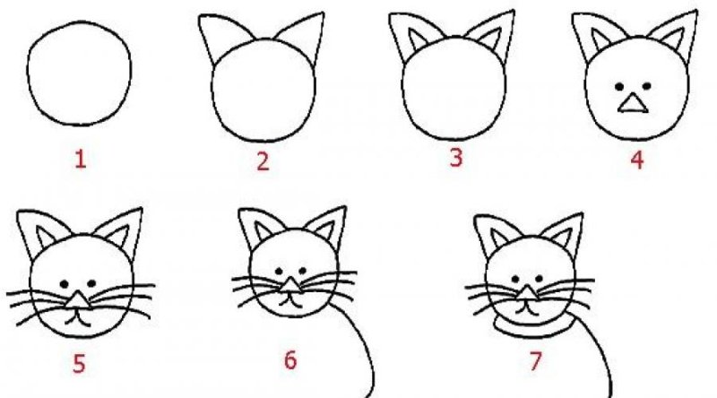 Схема рисования кошки для детей