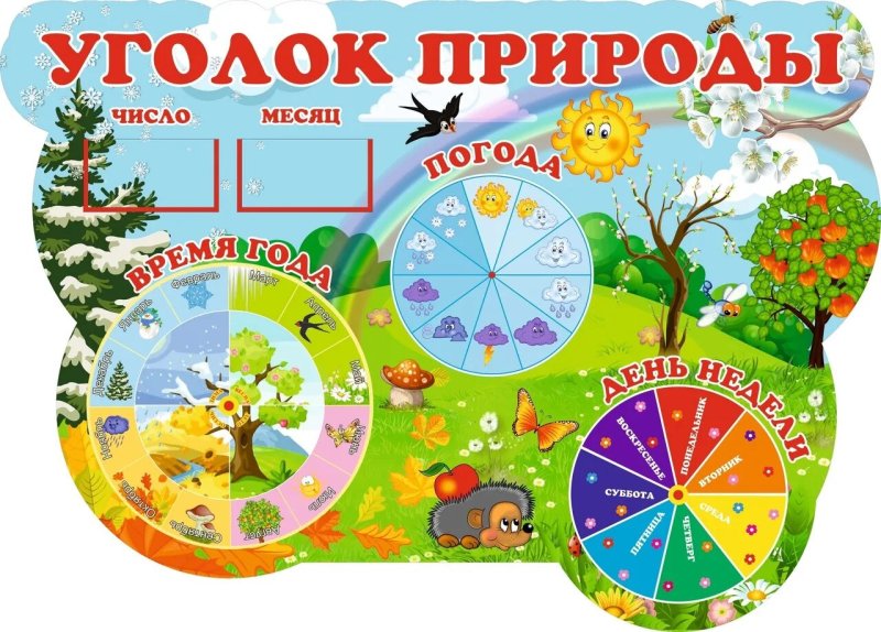Уголок природы в детском