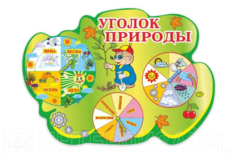 Уголок природы