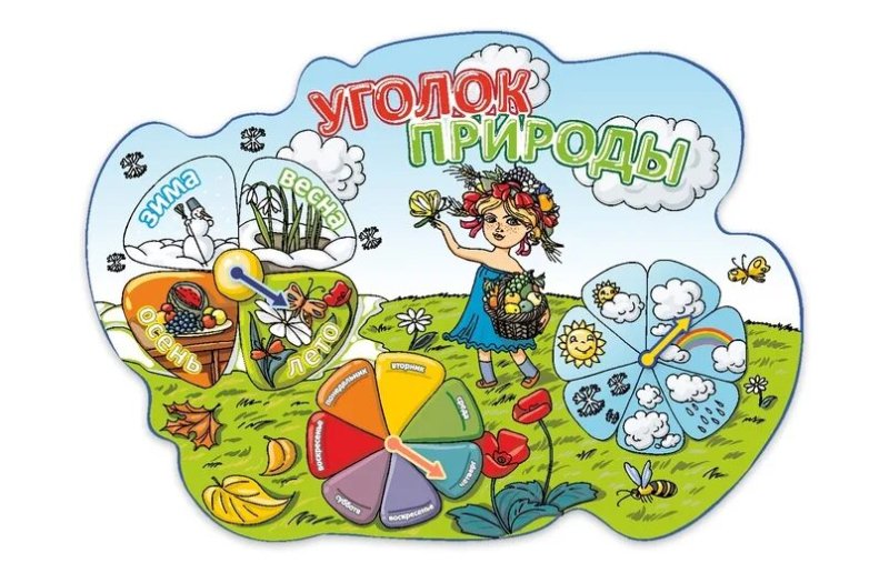 Уголок природы в ДОУ