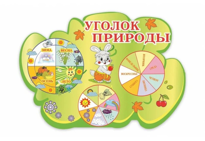 Уголок природы. Стенд