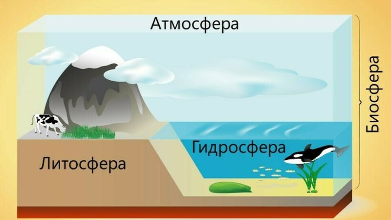 Строение планеты земля литосфера атмосфера гидросфера Биосфера