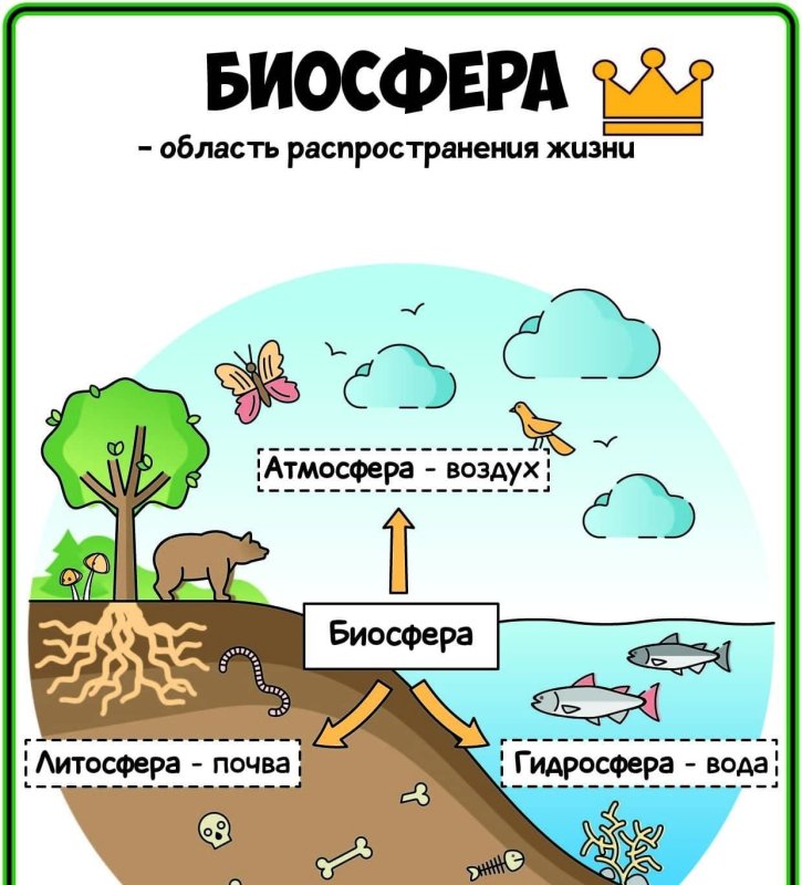 Биосфера рисунок