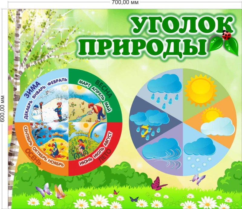 Календарь природы для детского сада