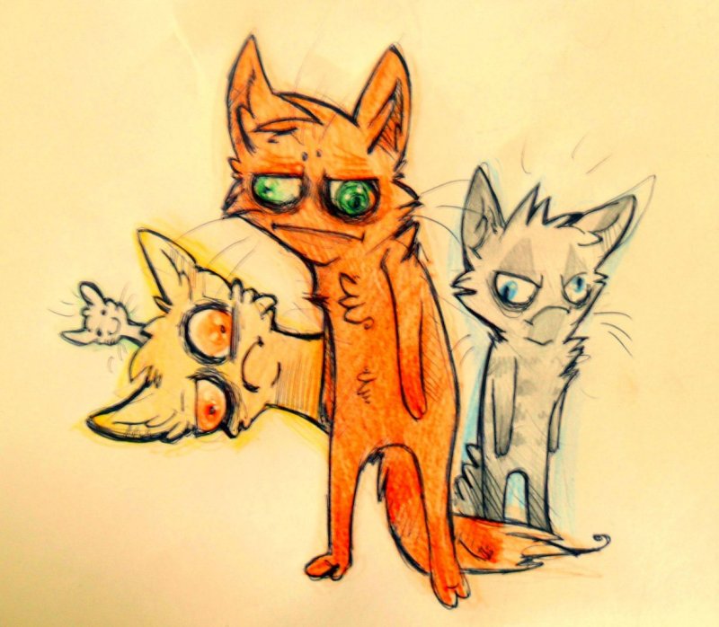 Коты Воители рисунки