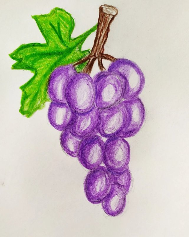 Рисование виноград