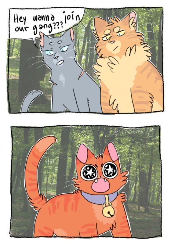 Коты Воители комиксы смешные