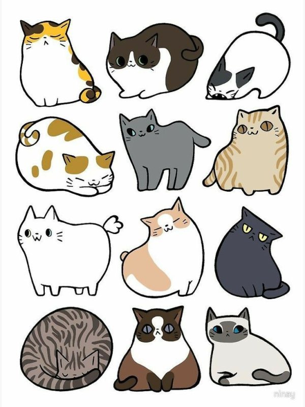 Стикеры миленькие котики