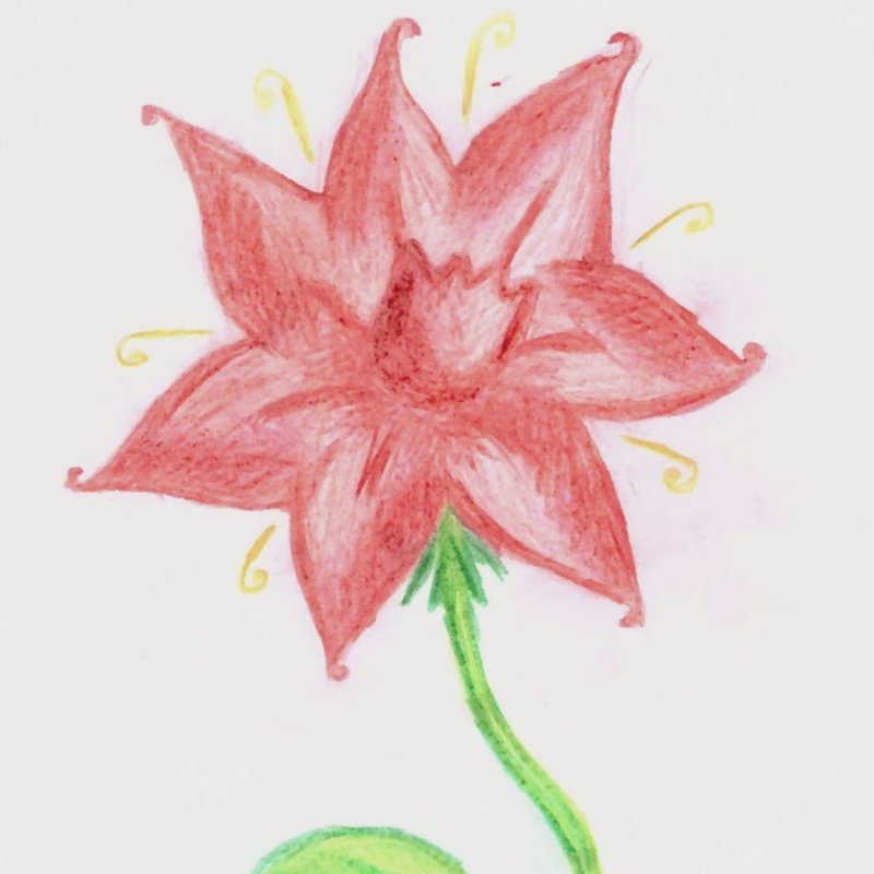 Рисование Аленький цветочек
