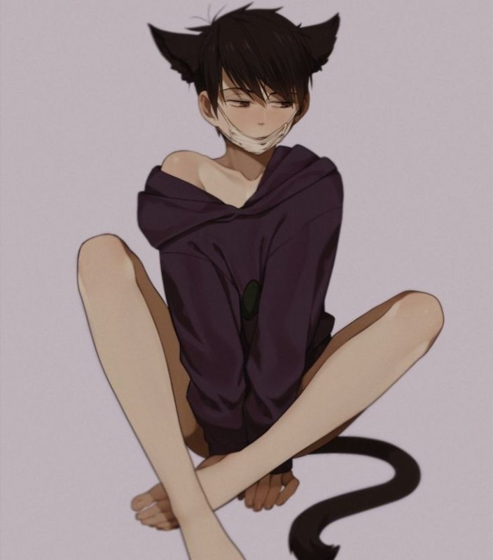 Кошкомальчик арт