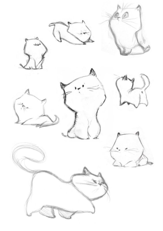 Рисунки котов карандашом для срисовки