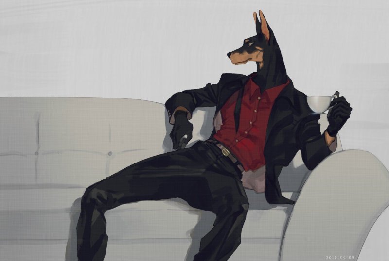 доберманпинчер фурри