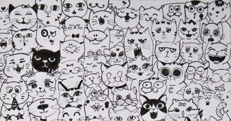 Раскраска много котиков