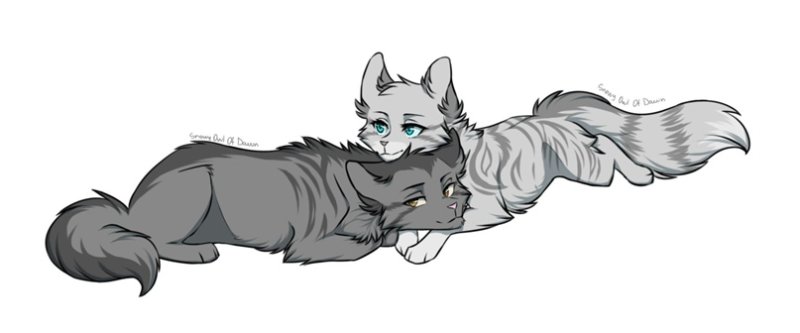 Коты Воители белохвост