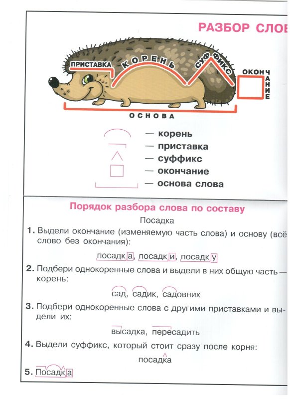 Разбор словаипл составу