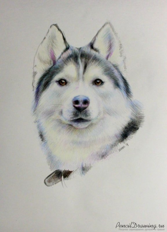 Красивые рисунки