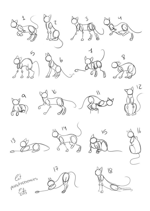 Позы котов для рисования