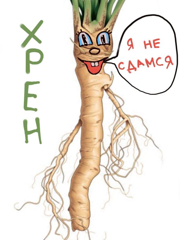 Хрен картинки