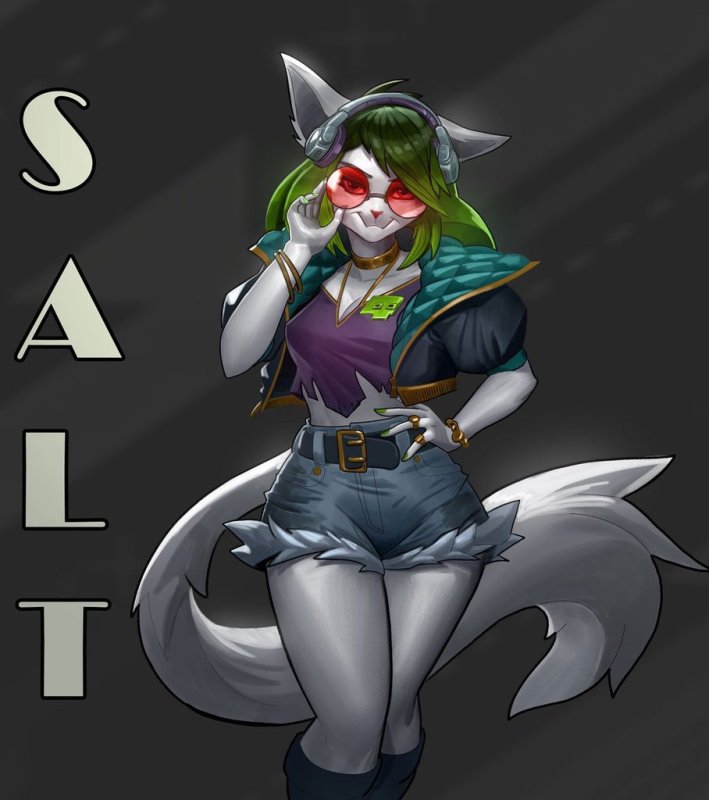 Paladins io Salt