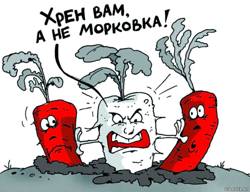 Морковка прикол