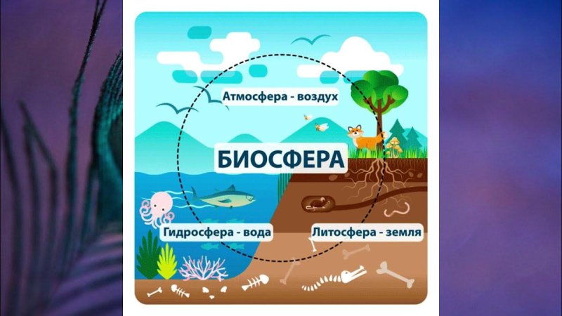 Литосфера гидросфера атмосфера Биосфера