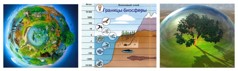 Биосфера картинки