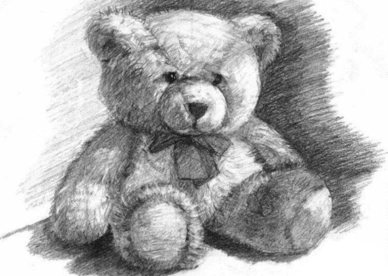 Медведь рисунок карандашом